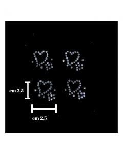 Applicazione strass termoadesiva  / sm480