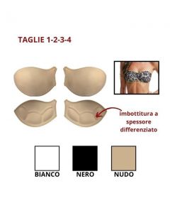 Coppa forma fascia anatomica imbottita spessore differenziato / c003 ok